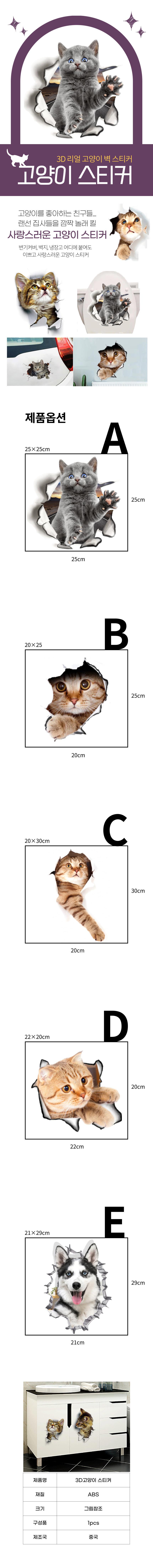 DD_1000000598_D00.jpg