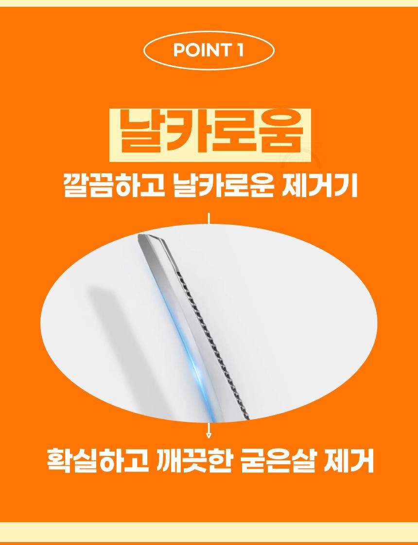 DD_A1831_D00_SPI02.jpg