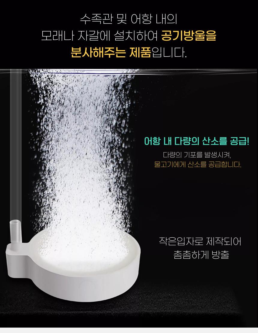 DD_A1864_D00_SPI01.jpg