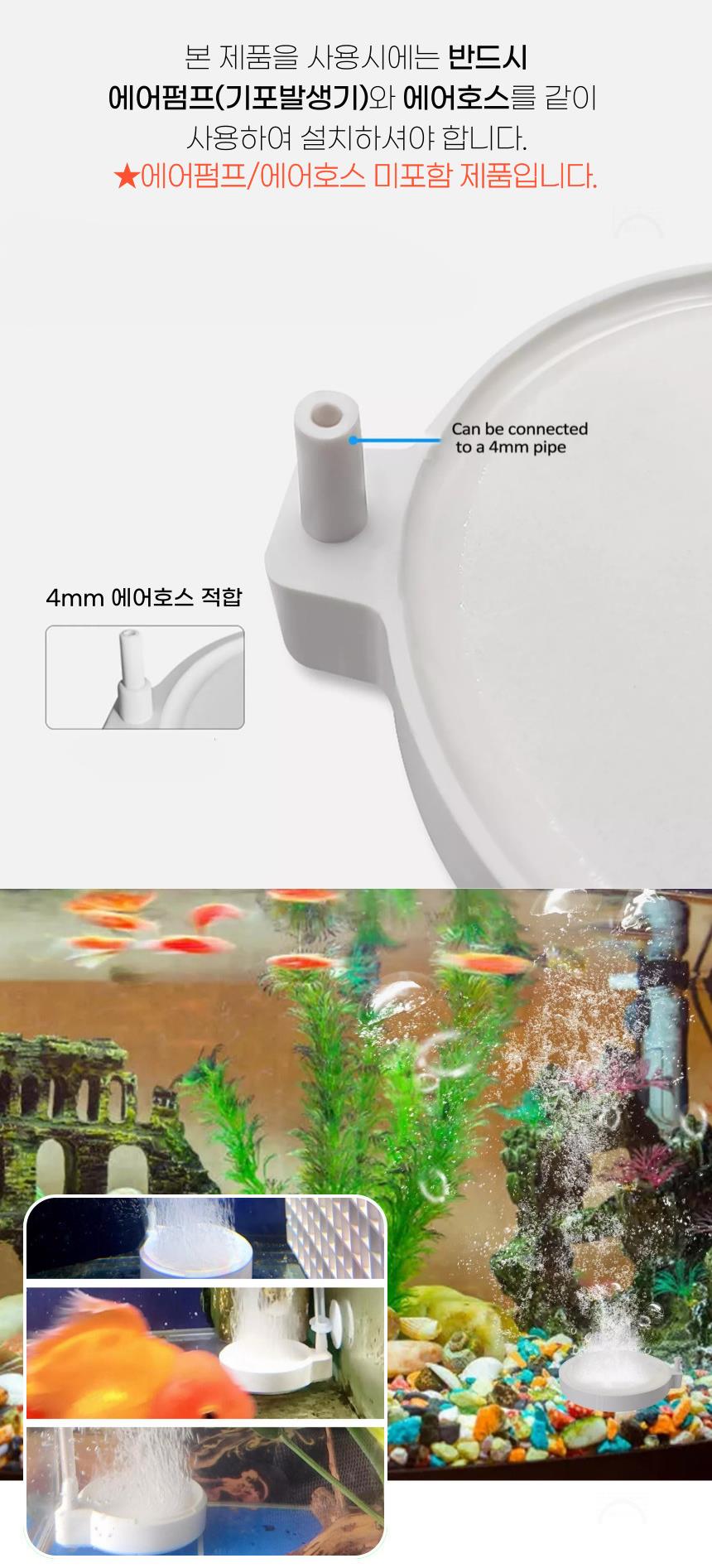 DD_A1864_D00_SPI02.jpg