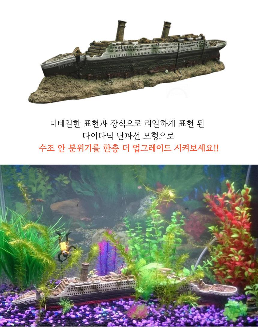 DD_A1912_D00_SPI01.jpg