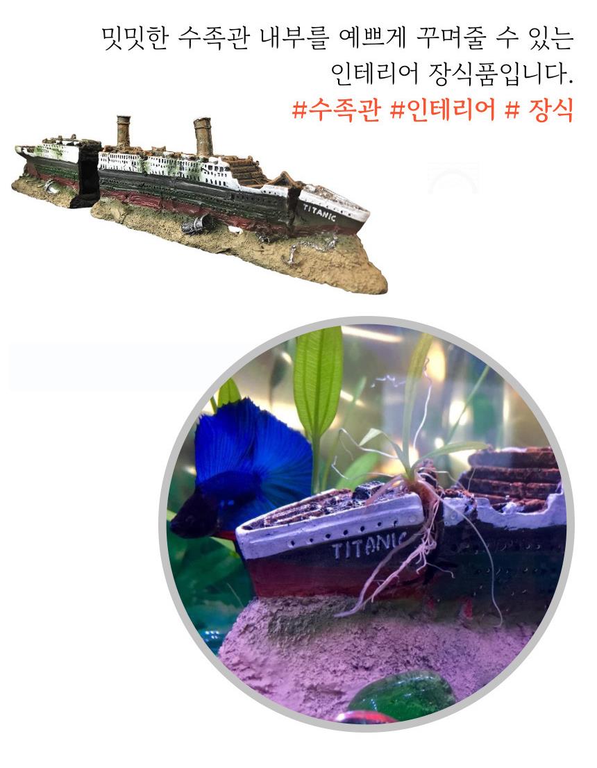 DD_A1912_D00_SPI02.jpg