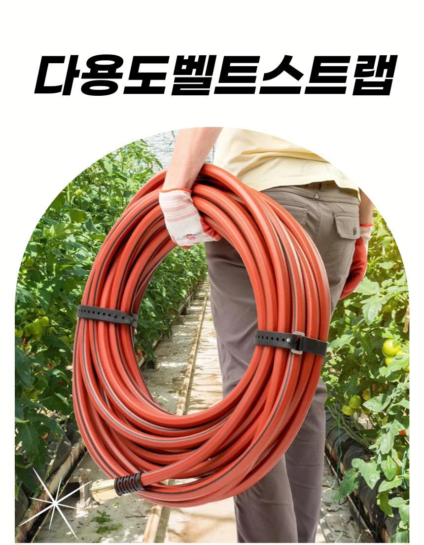 DD_A2020_D00_SPI00.jpg