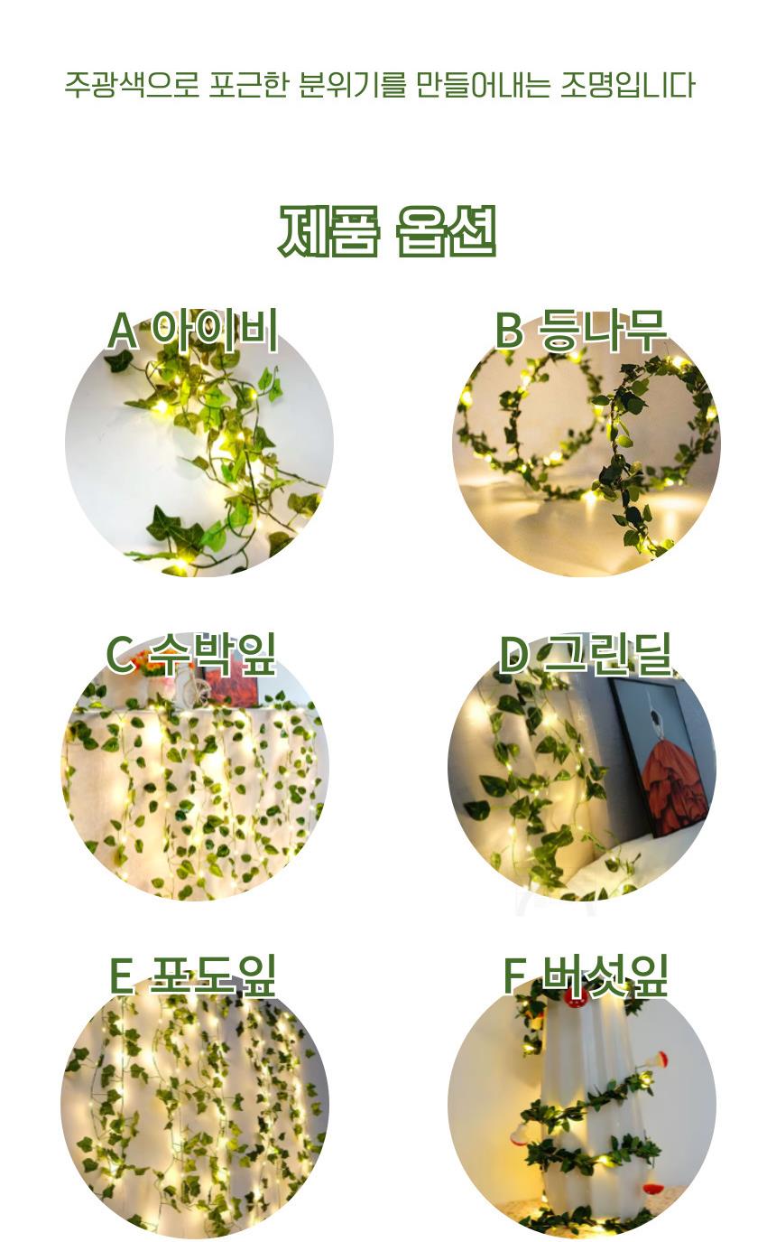 DD_A2072_D00_SPI03.jpg