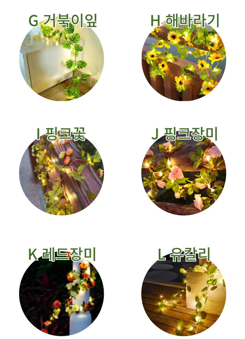 DD_A2072_D00_SPI04.jpg
