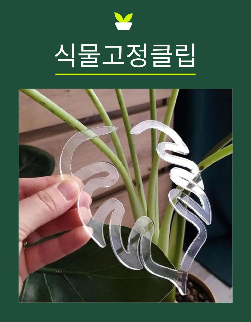 DD_A2247_D00_SPI00.jpg