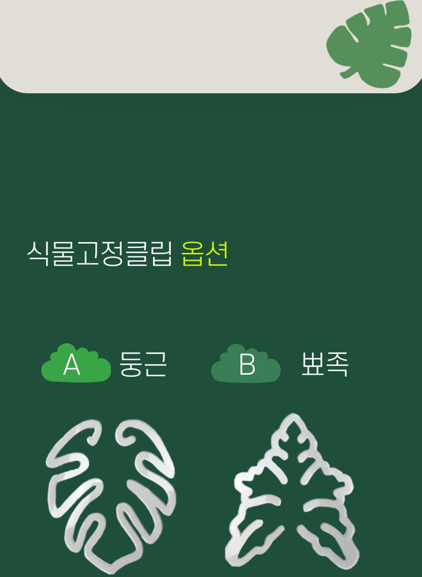 DD_A2247_D00_SPI03.jpg